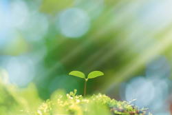 ������j�C���[�W